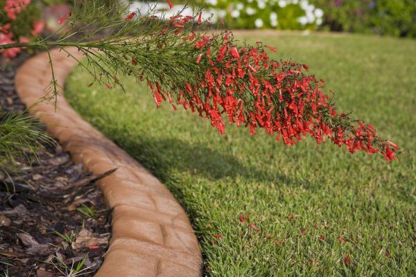 Brick Edging in Marysville