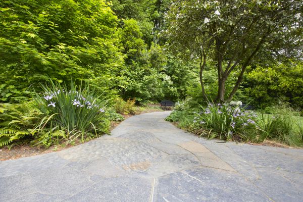 Stone Hardscape Service in Marysville